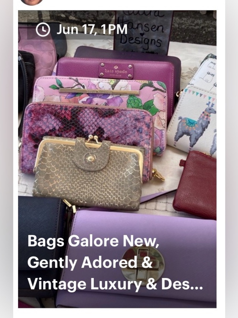 Weds, June 17 Bags Galore Live Show @ 12 pm Noon PT